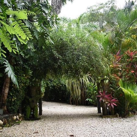 Pachamama Lodge Playa Santa Teresa  Extérieur photo