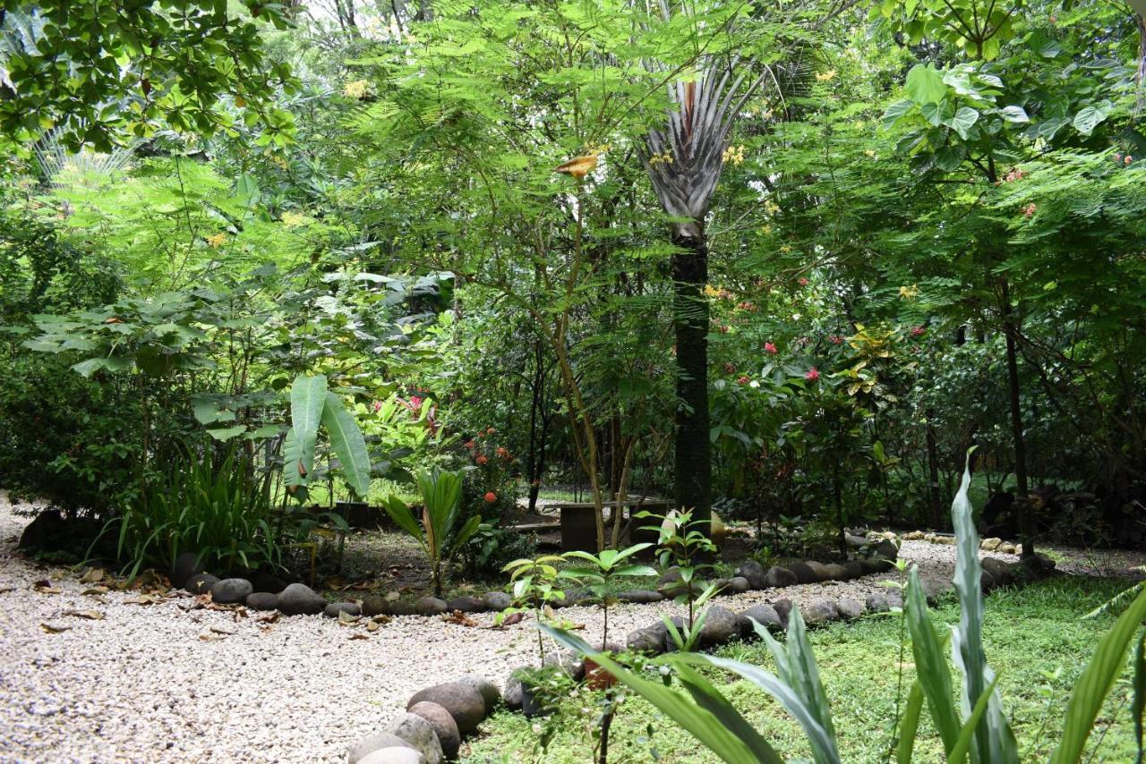 Pachamama Lodge Playa Santa Teresa  Extérieur photo