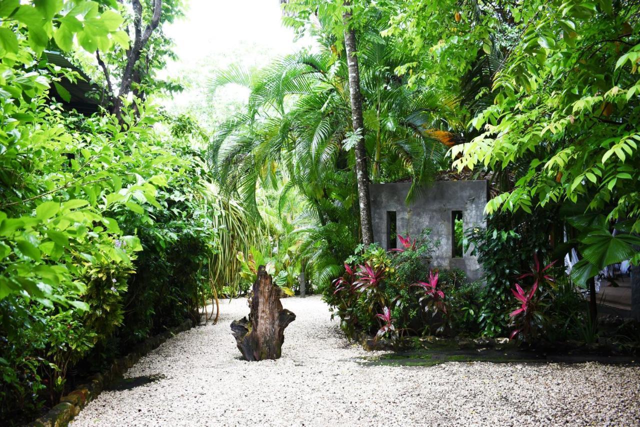 Pachamama Lodge Playa Santa Teresa  Extérieur photo