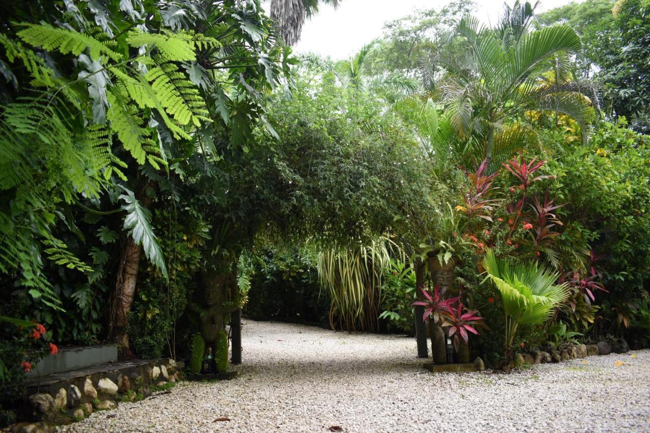 Pachamama Lodge Playa Santa Teresa  Extérieur photo